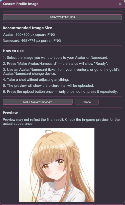 The Custom Profile Image window — pick a PNG, follow the on-screen steps, and apply it as your avatar or namecard.